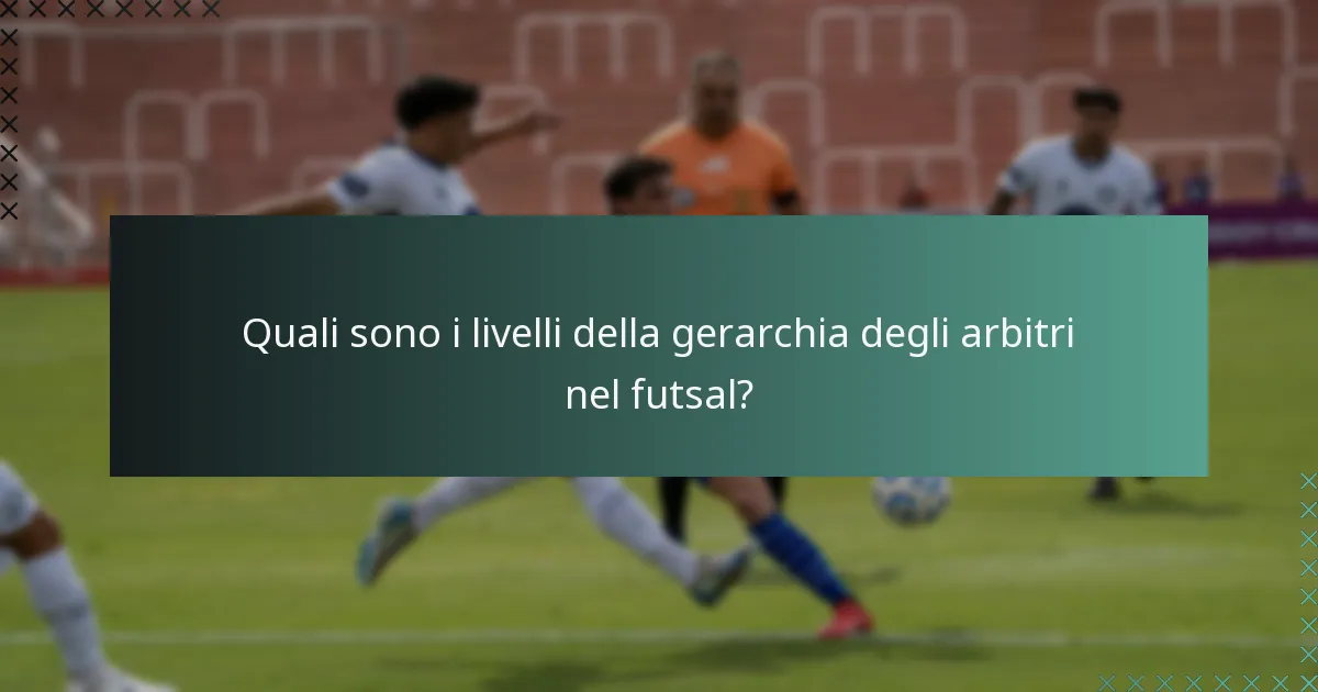 Quali sono i livelli della gerarchia degli arbitri nel futsal?